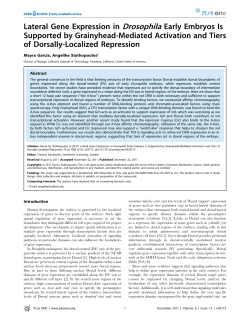 Lateral Gene Expression in Drosophila Early Embryos Is Supported