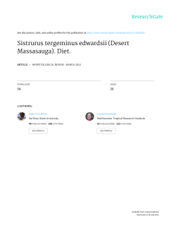Sistrurus tergeminus edwardsii (Desert Massasauga). Diet.