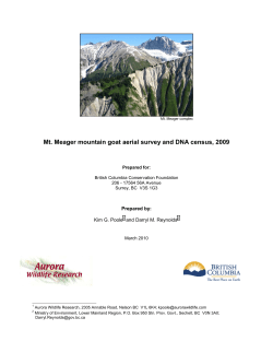 Mt. Meager goat survey report 2009