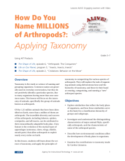 Taxonomy - Lesson Corner
