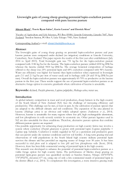 Liveweight gain of young sheep grazing perennial lupin