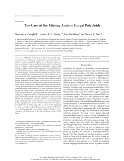 The Case of the Missing Ancient Fungal Polyploids - e