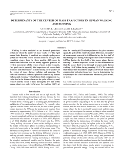 DETERMINANTS OF THE CENTER OF MASS TRAJECTORY IN