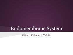 Endomembrane System