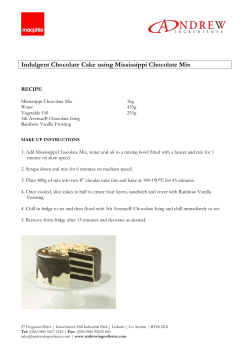 Indulgent Chocolate Cake using Mississippi Chocolate Mix