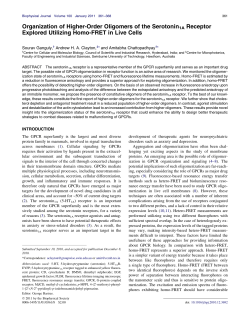 Organization of Higher-Order Oligomers of the Serotonin1A