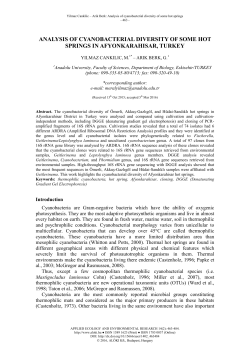 Analysis of cyanobacterial diversity of some hot springs in