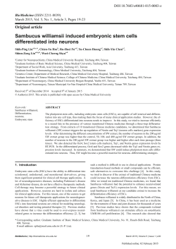 Sambucus williamsii induced embryonic stem cells differentiated
