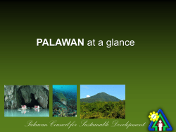 Palawan Council for Sustainable Development