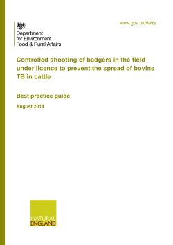 Guide on controlled shooting of badgers