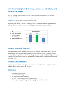 Inert Silicon Coating for H2S, Mercury, Ammonia