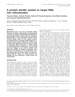protein shuttle system to target RNA into mitochondria | Nucleic