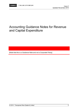 Accounting Guidance Notes for Revenue and Capital Expenditure