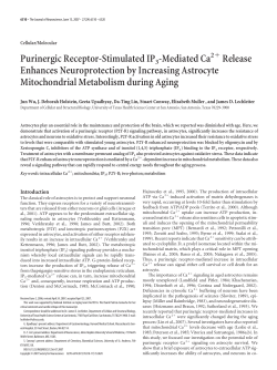 Purinergic Receptor-Stimulated IP3