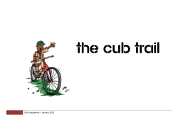 1 Cub Programme &ndash; January 2015