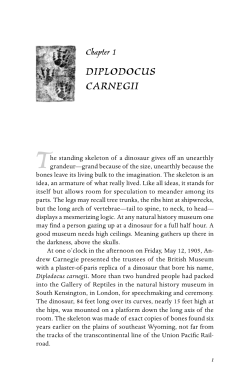 diplodocus carnegii - University of Pittsburgh Press