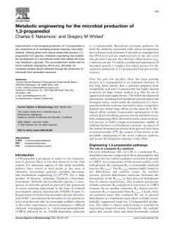 Metabolic engineering for the microbial production of 1,3