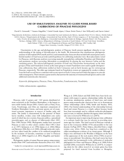 use of simultaneous analyses to guide fossil