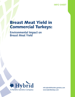 Breast Meat Yield in Commercial Turkeys
