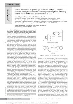 Exciton interactions in cyanine dye&ndash;hyaluronic acid (HA) complex