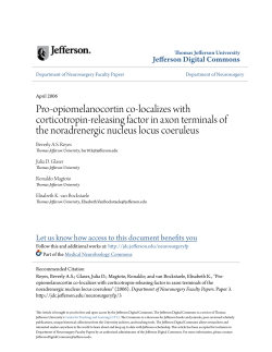 Pro-opiomelanocortin co-localizes with corticotropin