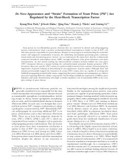 De Novo Appearance and ``Strain`` Formation of Yeast
