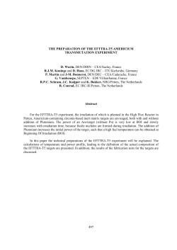 The Preparation of the EFTTRA-T5 Americium Transmutation