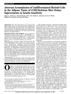 Aberrant Accumulation of Undifferentiated Myeloid Cells