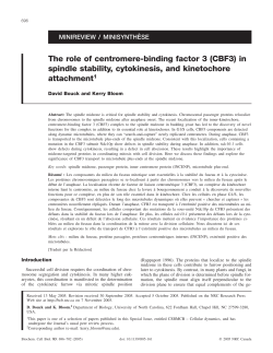 The role of centromere-binding factor 3 (CBF3) in