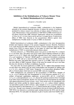 Inhibition of the Multiplication of Tobacco Mosaic Virus by Methyl