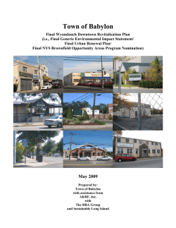 Final Wyandanch Downtown Revitalization Plan