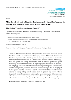 Mitochondrial and Ubiquitin Proteasome System Dysfunction in