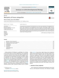 Ma&icirc;tre - Master BMC