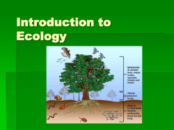 1 Introduction to Ecology