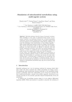 Simulation of mitochondrial metabolism using multi