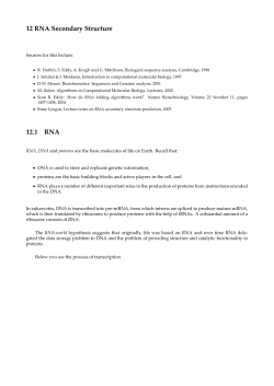 12 RNA Secondary Structure 12.1 RNA