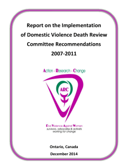 Report on the Implementation of Domestic Violence Death Review