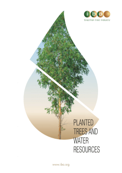 planted trees and water resources
