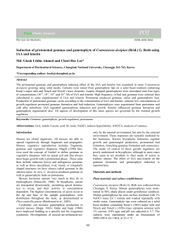 Induction of protonemal gemmae and gametophyte of Cratoneuron