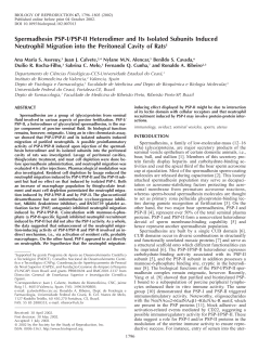 Spermadhesin PSP-I/PSP-II Heterodimer and Its Isolated Subunits