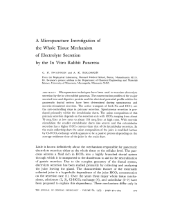 A Micropuncture Investigation of the Whole Tissue