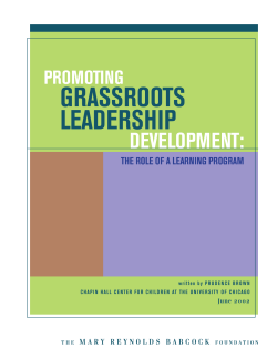 promoting grassroots leadership development