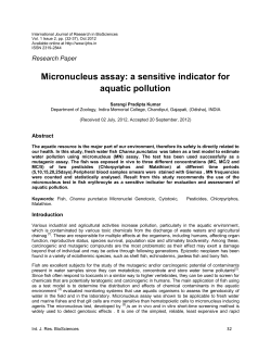 Micronucleus assay: a sensitive indicator for aquatic pollution