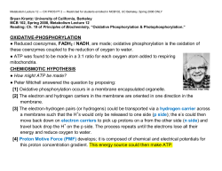 Oxidative-Phosphorylation Part 2 - Berkeley MCB