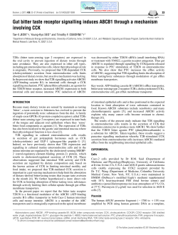 Gut bitter taste receptor signalling induces ABCB1 through a