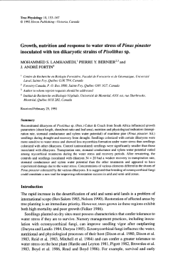 Growth, nutrition and response to water stress of Pinus