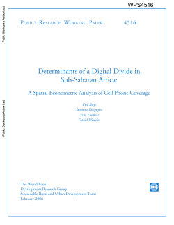 Determinants of a Digital Divide in Sub-Saharan Africa