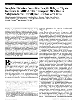 Complete Diabetes Protection Despite Delayed Thymic Tolerance in
