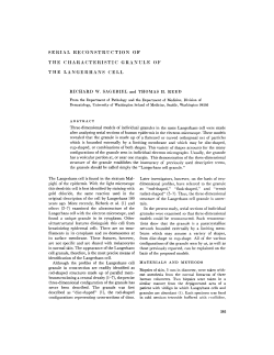 SERIAL RECONSTRUCTION OF THE