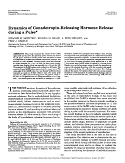 Dynamics of Gonadotropin-Releasing Hormone Release during a